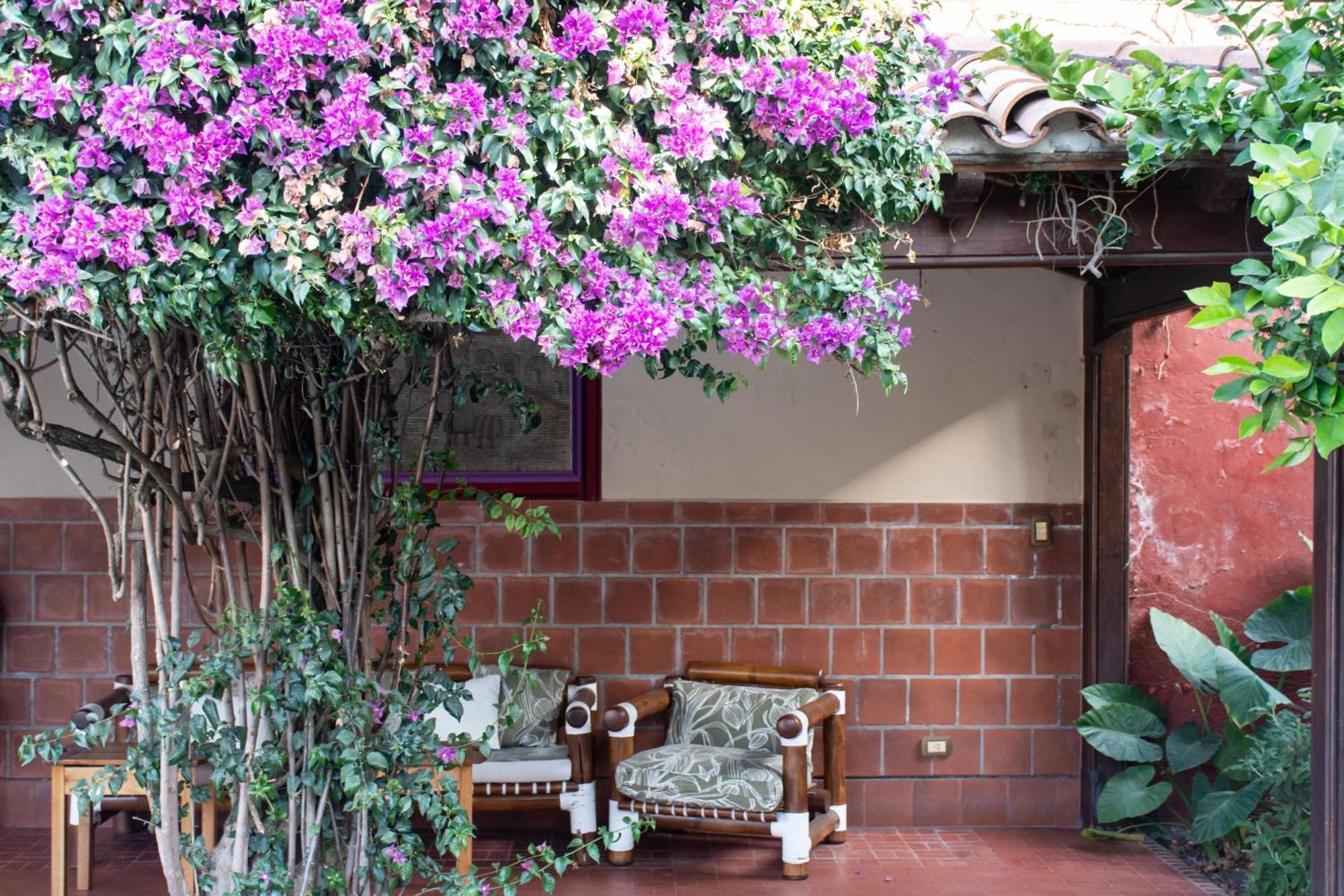 Hotel Boutique La Candela Salta